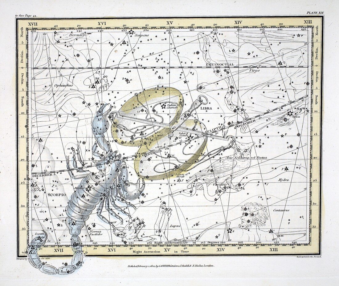 The Constellations (Plate XIX) Libra and Scorpio, 1822