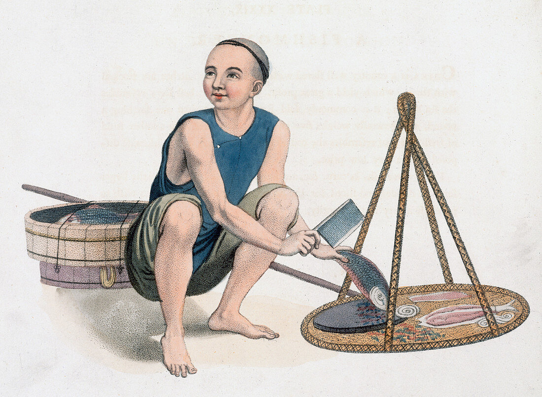 A fishmonger, 1800