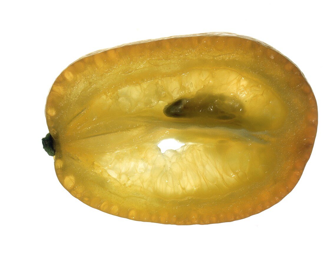 Scheibe einer Kumquat (längs aufgeschnitten, mit Kern)