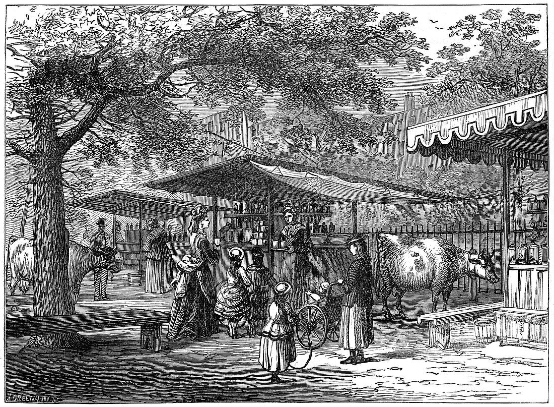 A milk fair, St James's Park, London, 1891