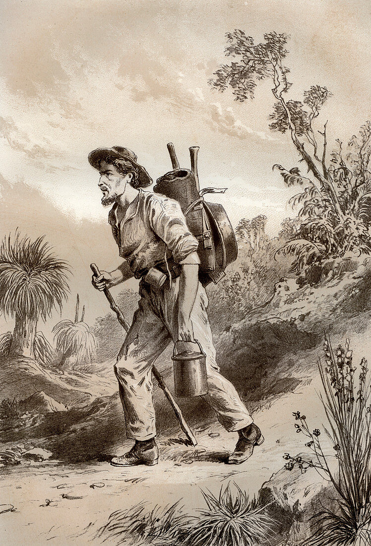 Digger on the tramp, Australia, 1879