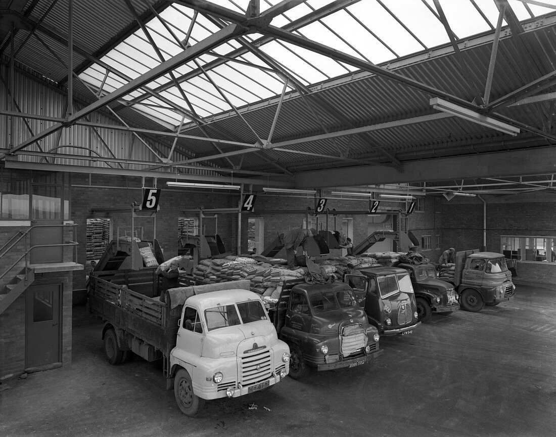 Line up of lorries, 1961