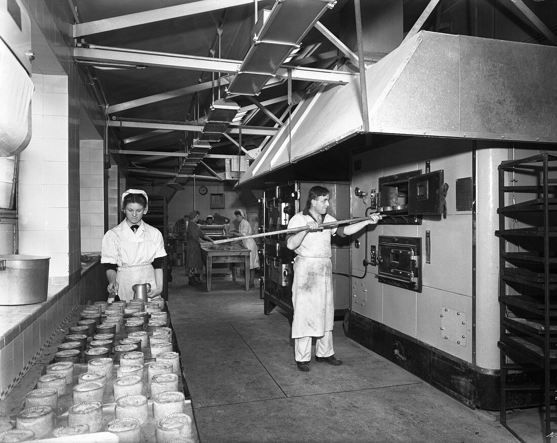 Pork pie production, Rawmarsh, South Yorkshire, 1955