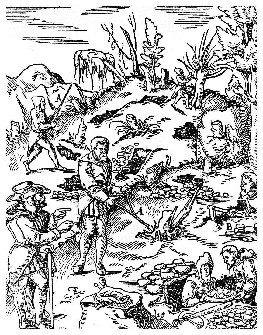 Prospecting for metals, 1556
