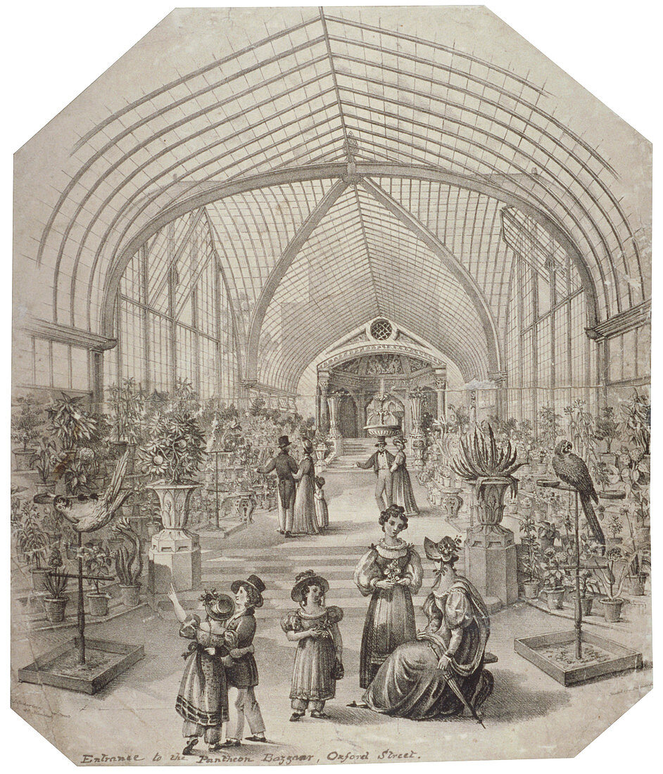 Conservatory of the Pantheon, Oxford Street, London, c1830