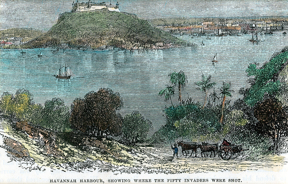 Havannah Harbour, Cuba, c1880
