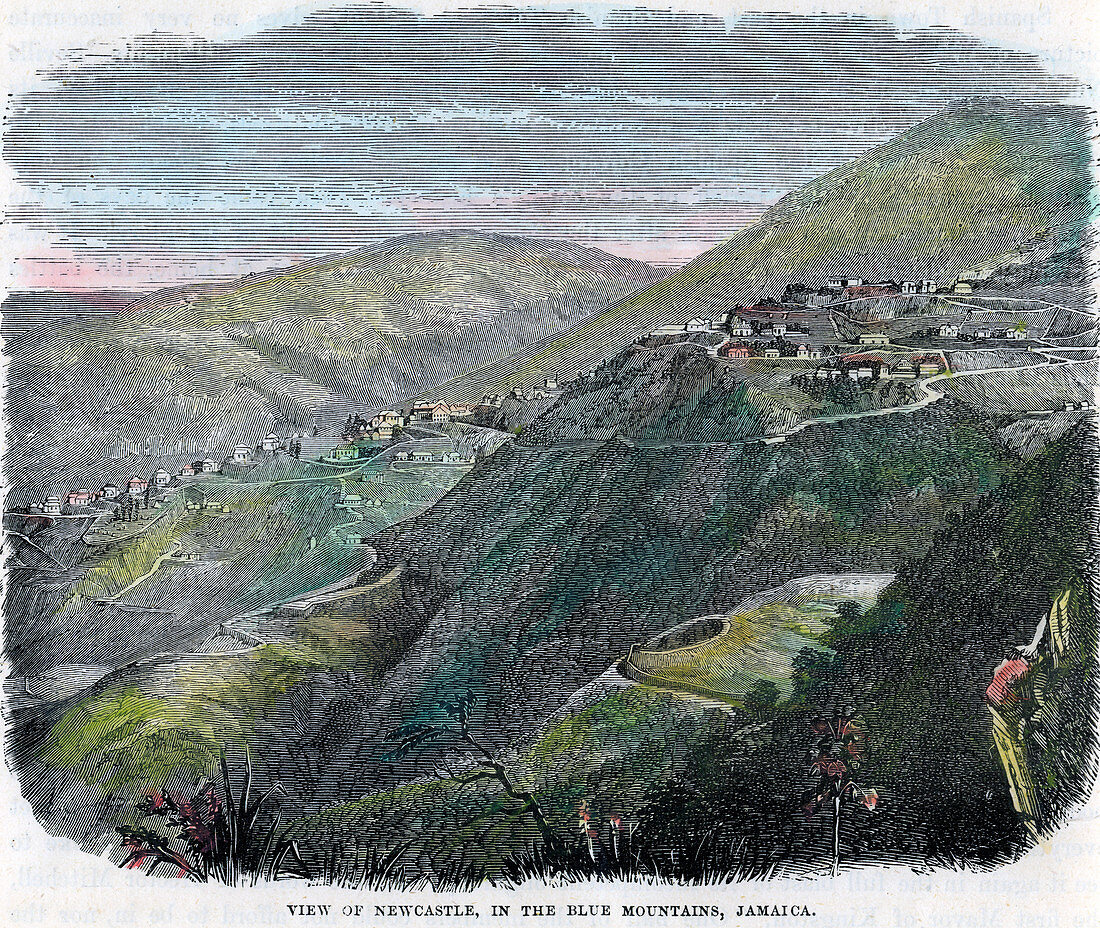 View of Newcastle, in the Blue Mountains, Jamaica, c1880