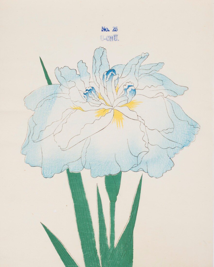 U-Chu, No 25, 1890, colour woodblock print