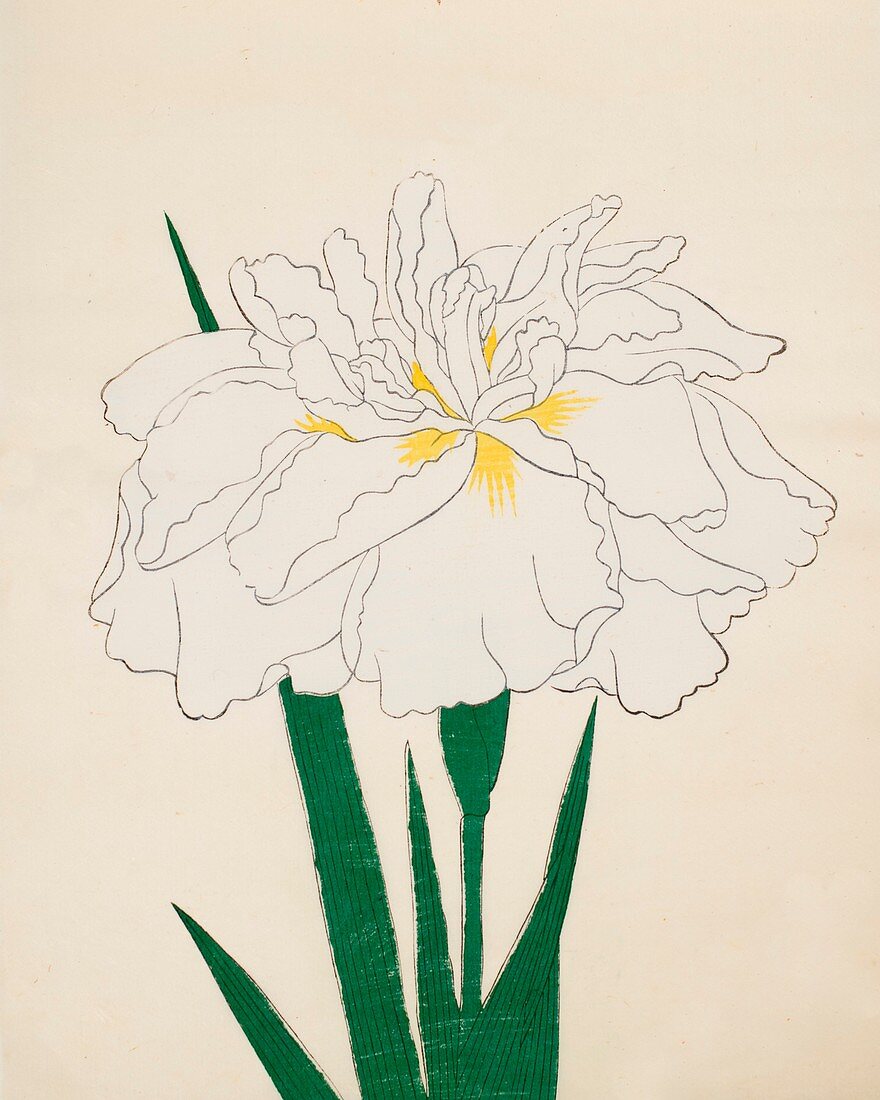 Ujaku-No-Nagisa, No 61, 1890, colour woodblock print