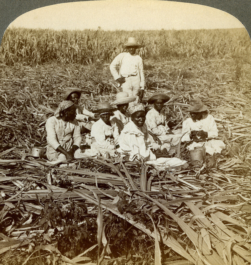 La Union sugar plantation, Santiago Province, Cuba, 1899