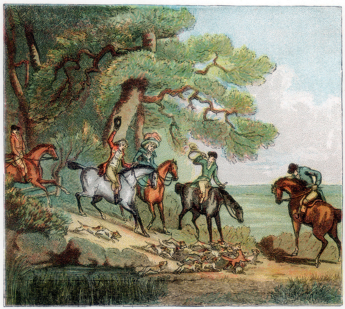 The kill, fox hunting, 1787