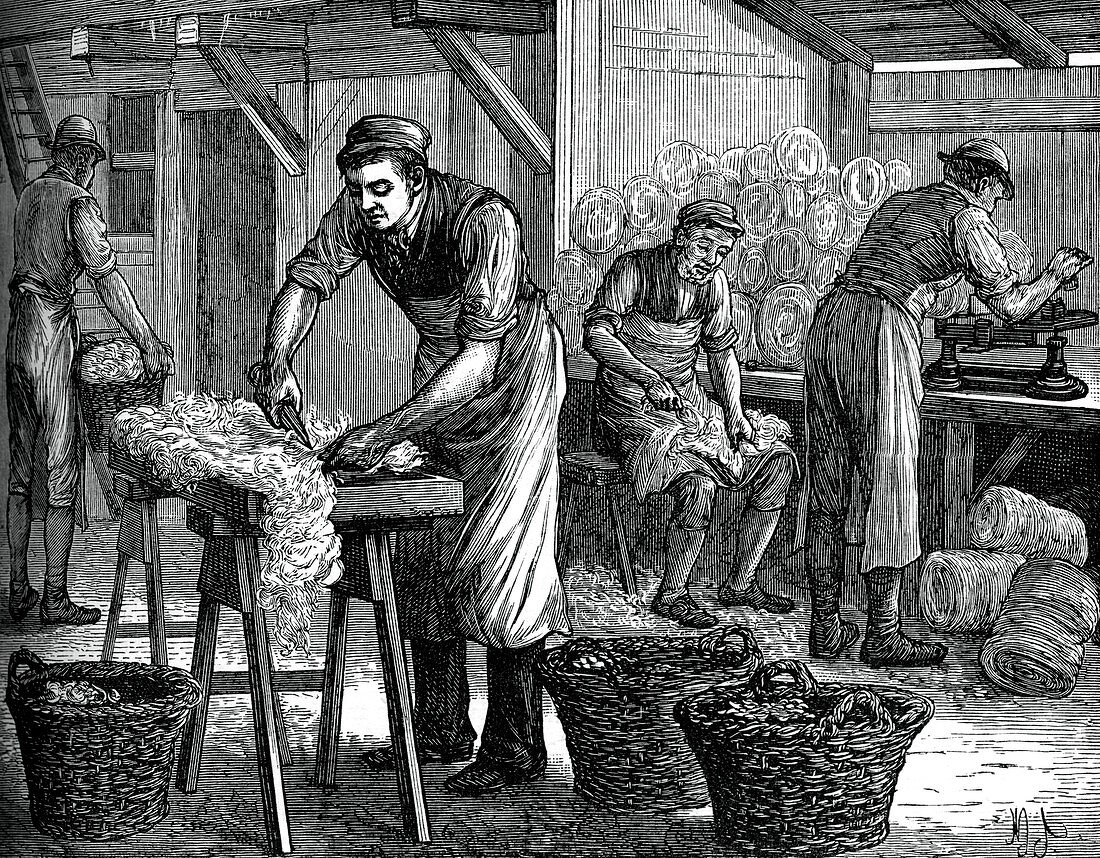 Wool sorters, c1880