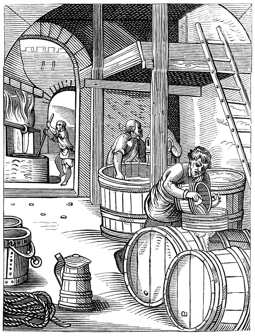 Brewer, 16th century
