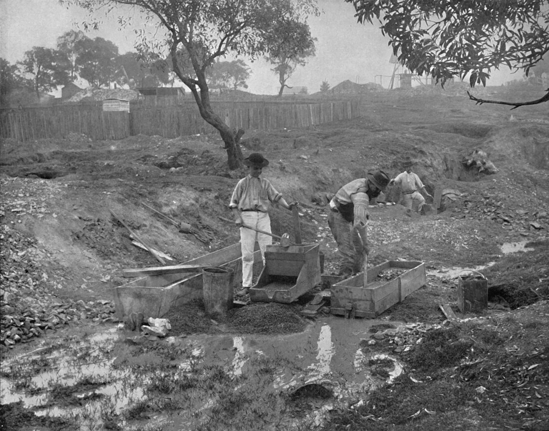 Gold-Digging in Australia, 19th century