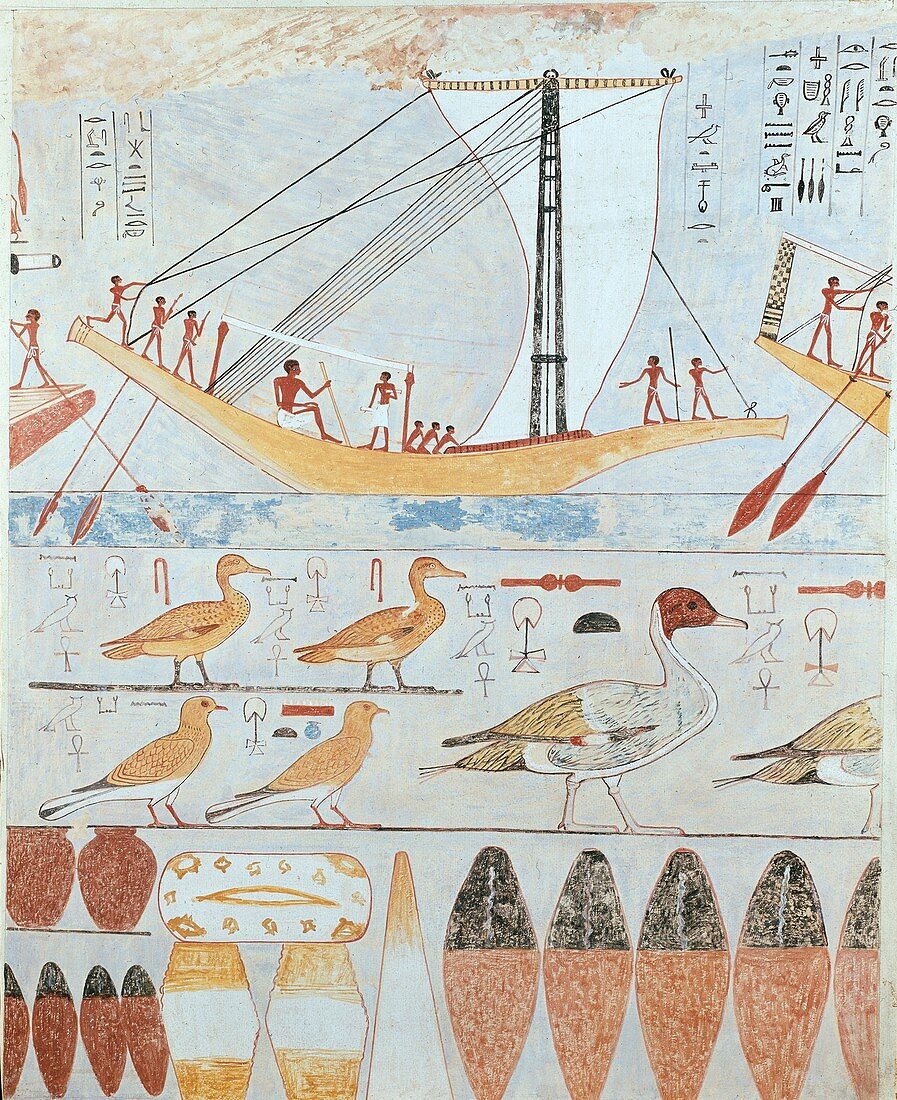 Wall painting from a private tomb of Kaemankh, III, 295