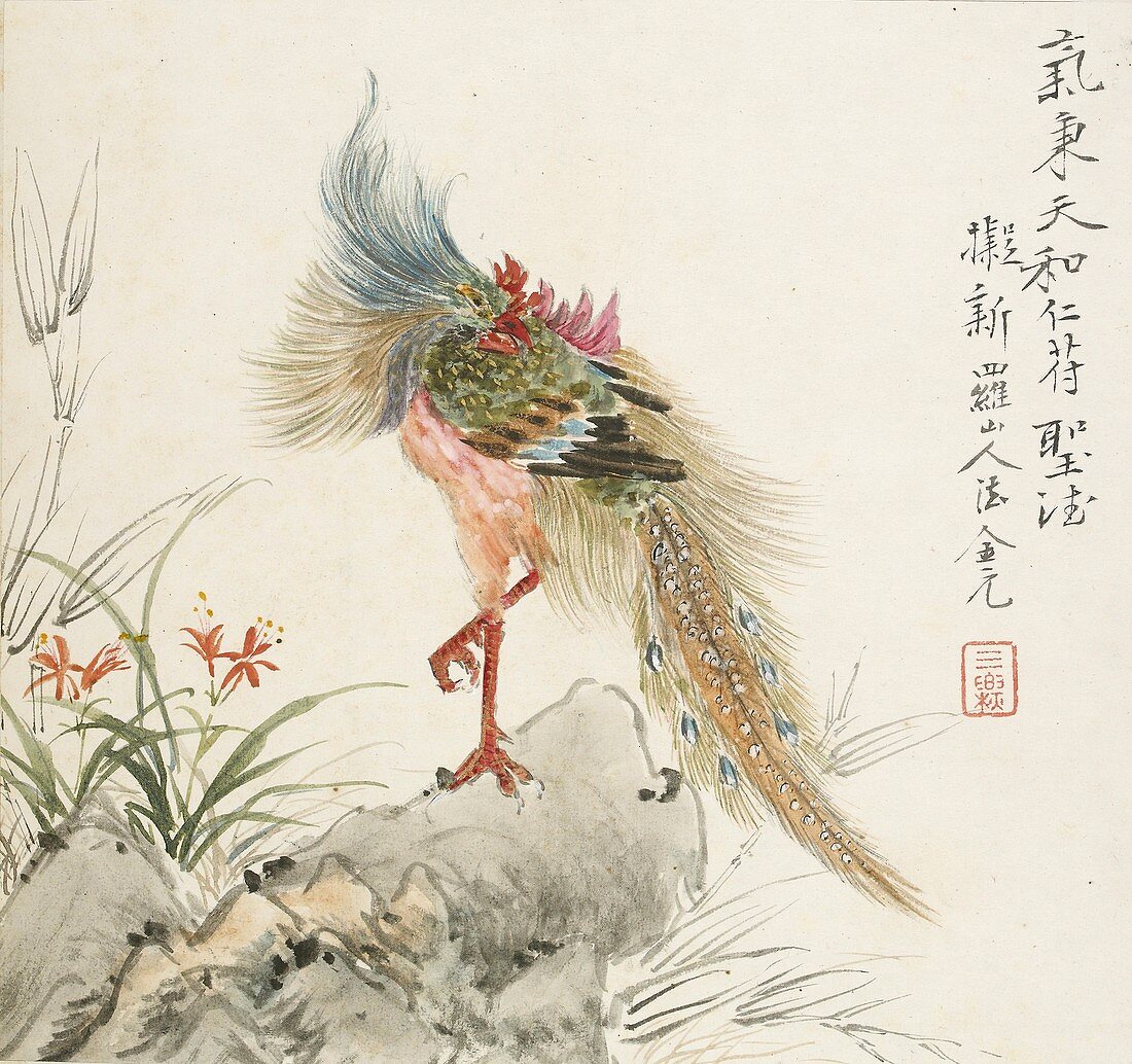 A phoenix standing on a rock, 1857