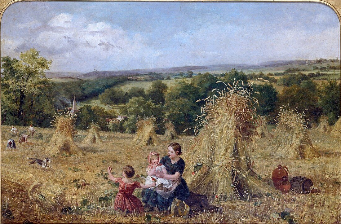 The Harvest Field, 1857-1858