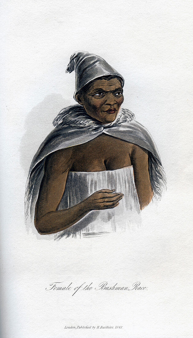 Female of the Bushman Race', 1848