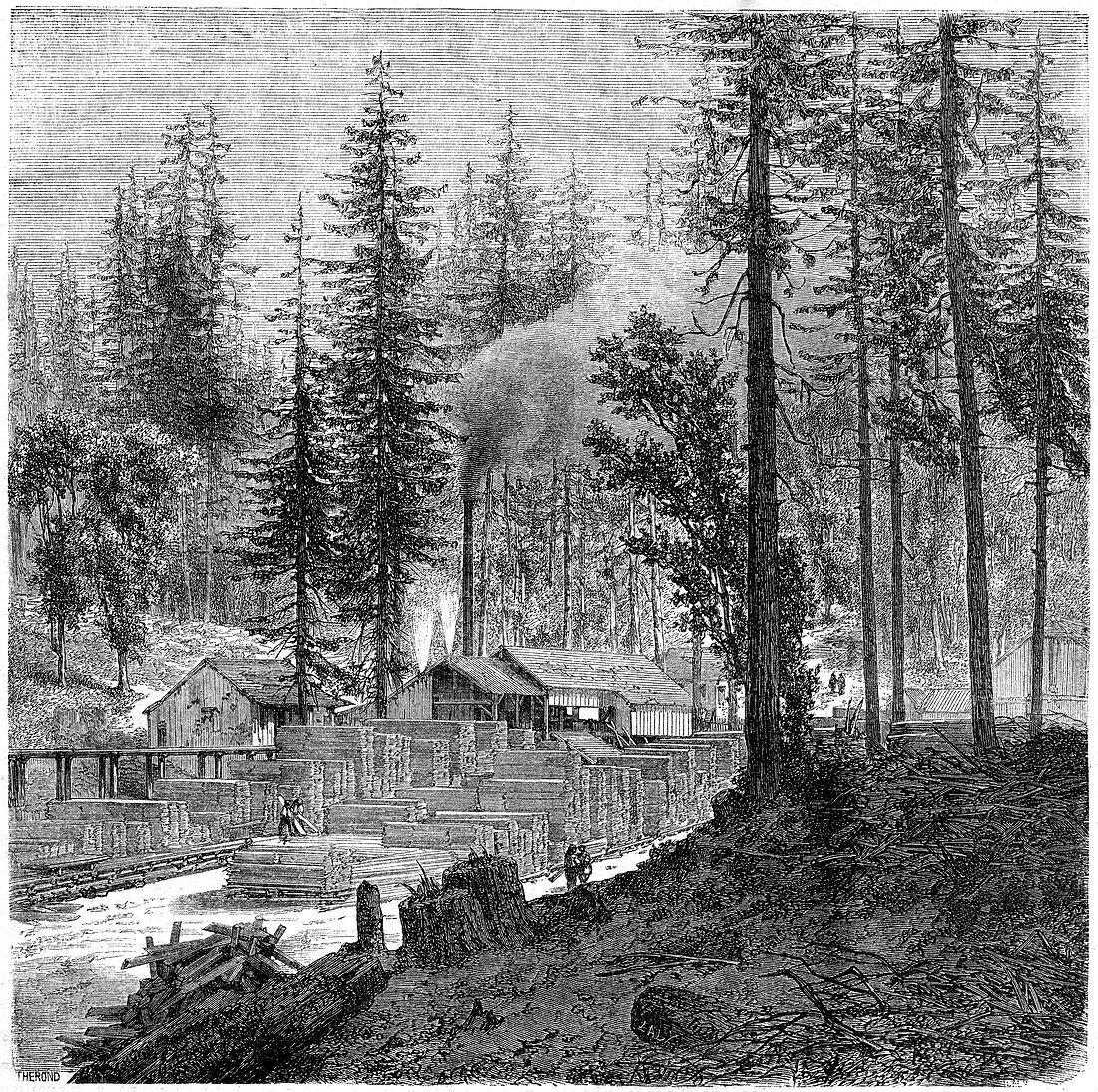 Sawmill', California, 19th century