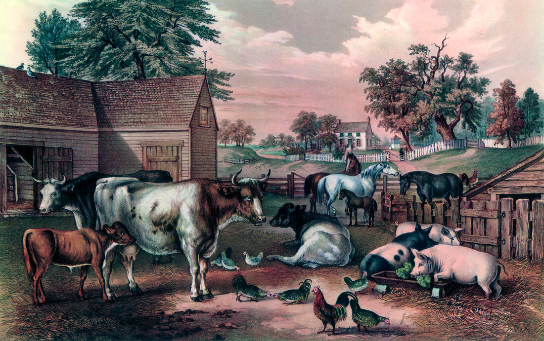 American Farm Yard in the Evening', 1857