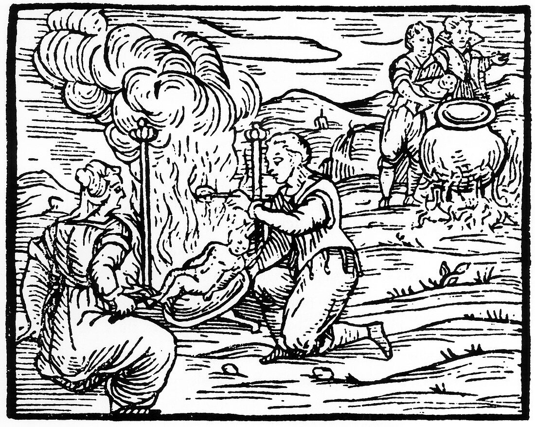 Witches roasting and boiling infants, 1608