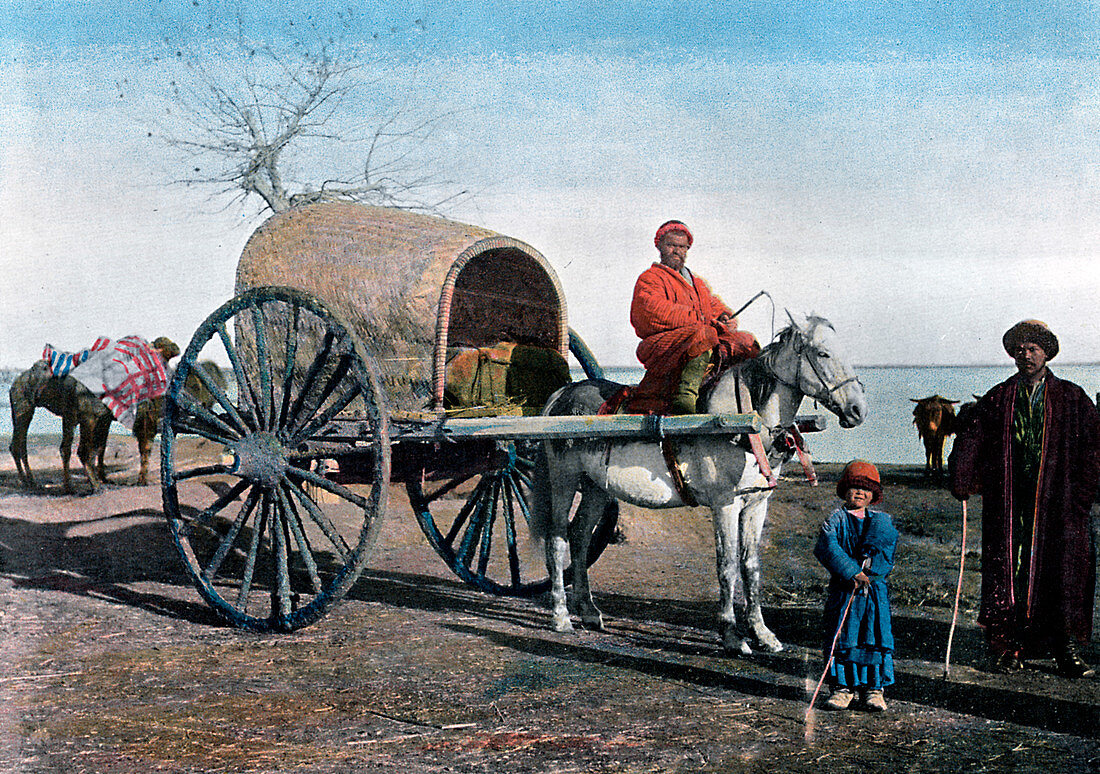 Bukhara wagon, Uzbekistan, c1890