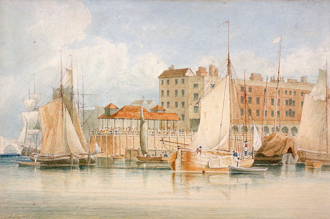 Billingsgate Wharf and market, City of London, 1824