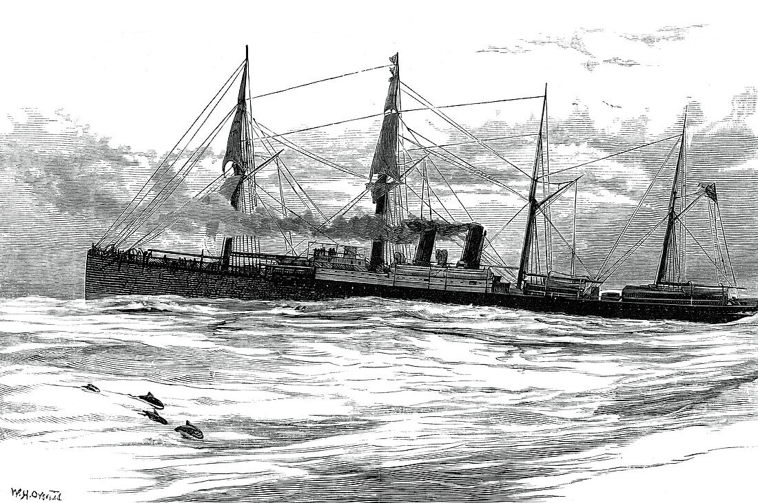 The Orient Steam Navigation Company's steamship Orient