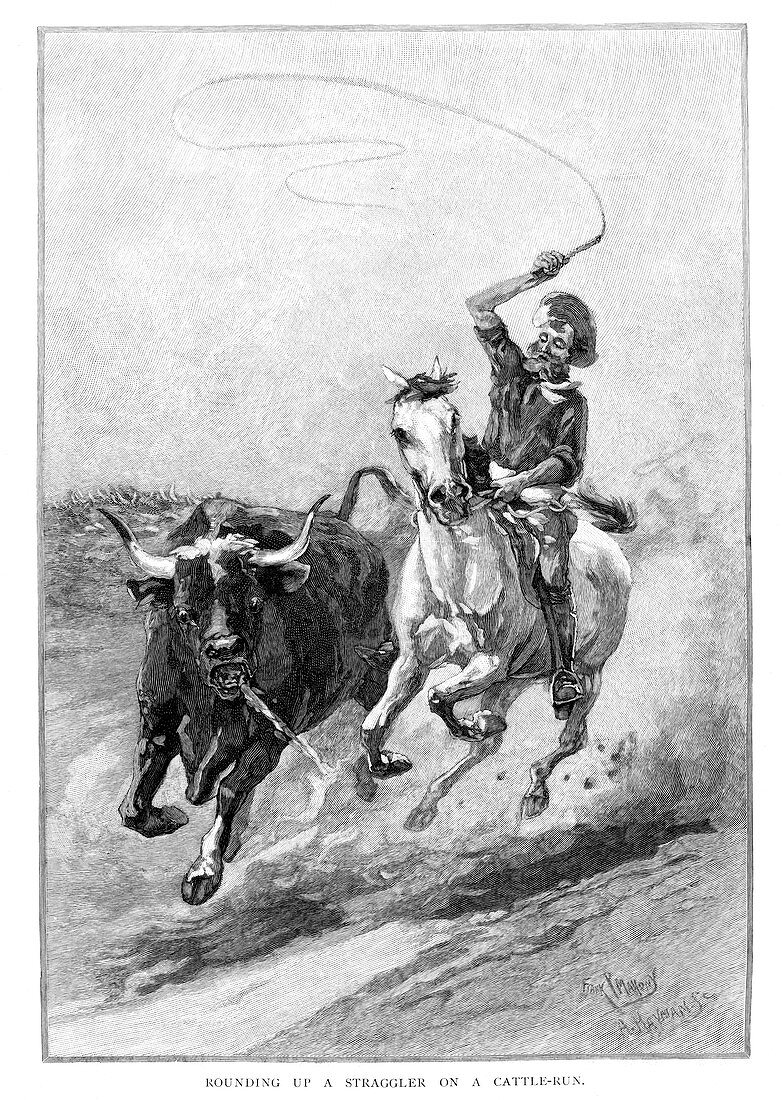 Rounding Up A Straggler On A Cattle Run', Australia, 1886