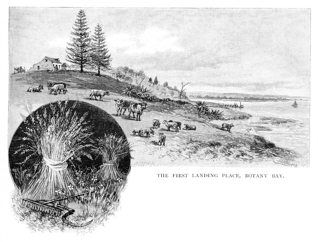 The first landing place, Botany Bay, Australia, 1886
