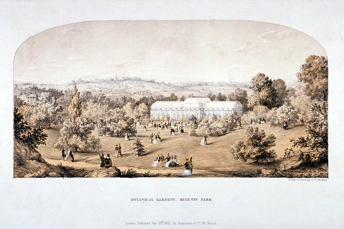 View of the Botanical Gardens in Regents Park, London, 1851