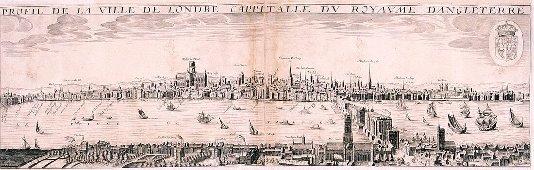 View of London from the south, 1643