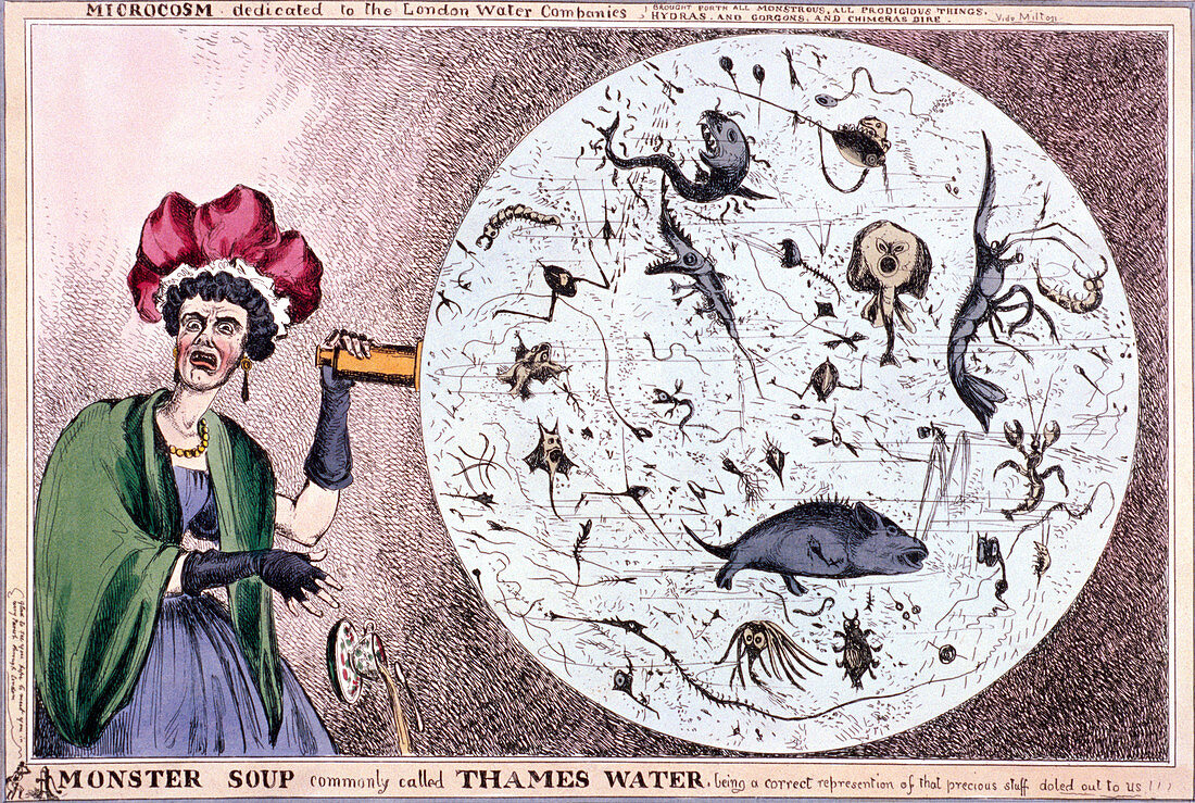 Monster soup commonly called Thames water...', 1828