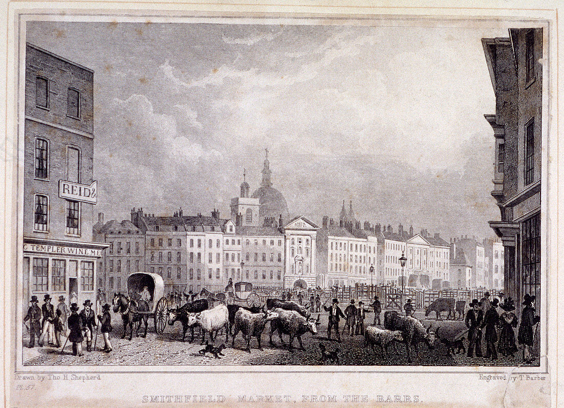 View of Smithfield Market from the Barrs, London, 1830