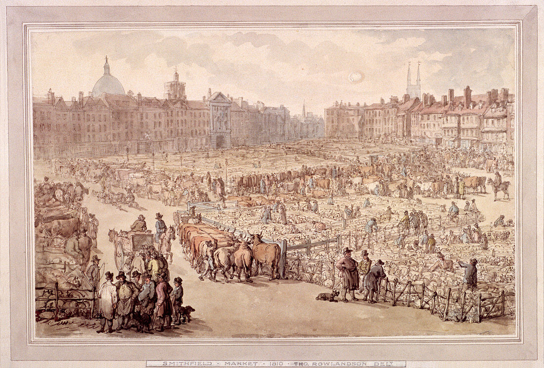 View of Smithfield Market, London, 1810