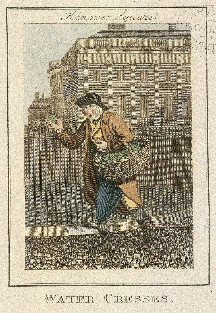 Water Cresses', Cries of London, 1804