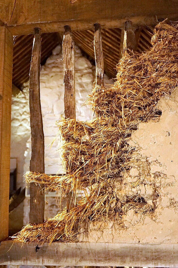 Mud and straw wall construction