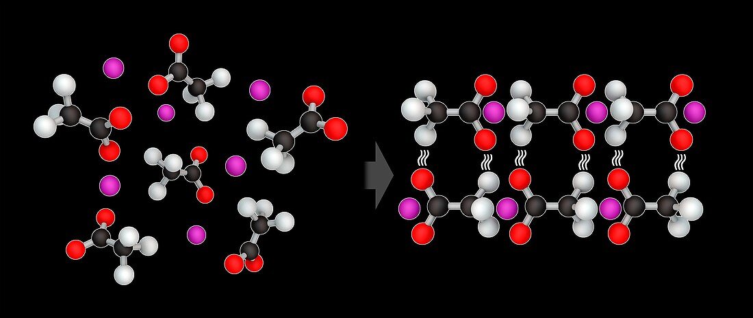 Sodium acetate, molecular model