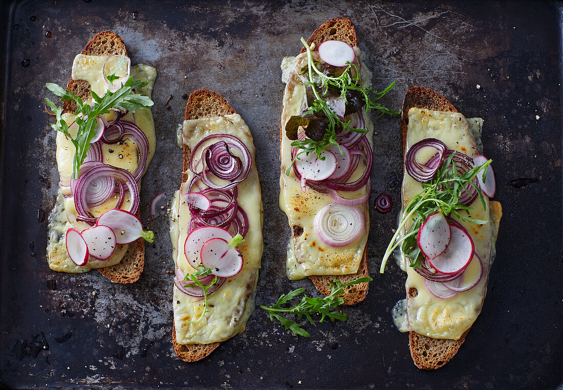 Cheese on toast with onions and radishes