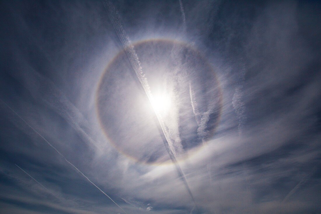 22-degree solar halo and contrails