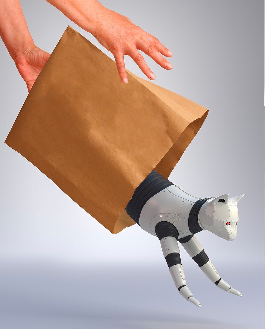 Letting the robot cat out of the bag, illustration