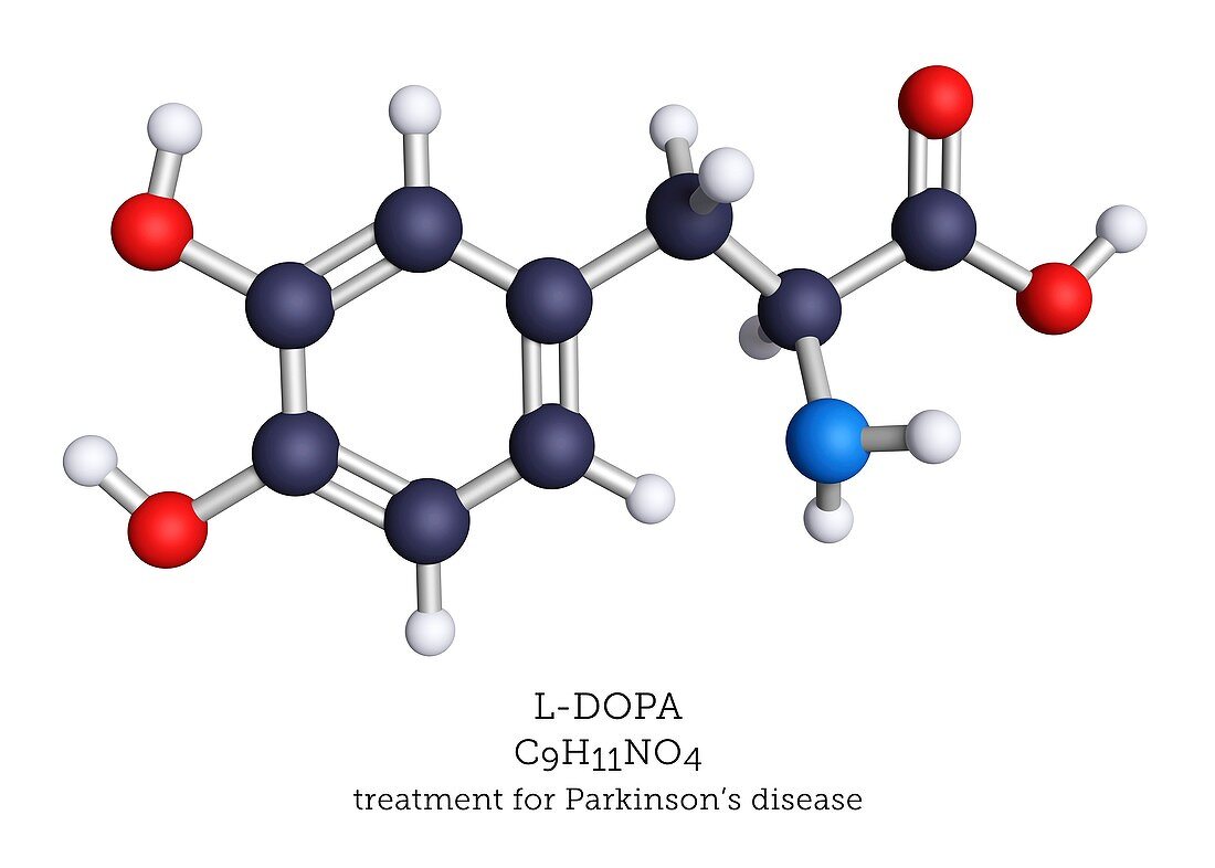 L-DOPA Parkinson's medication, molecular model