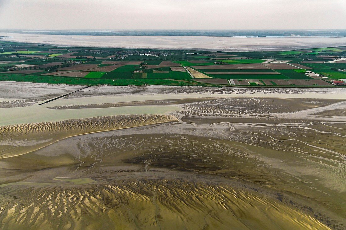 Estuary and farmland, aerial photograph