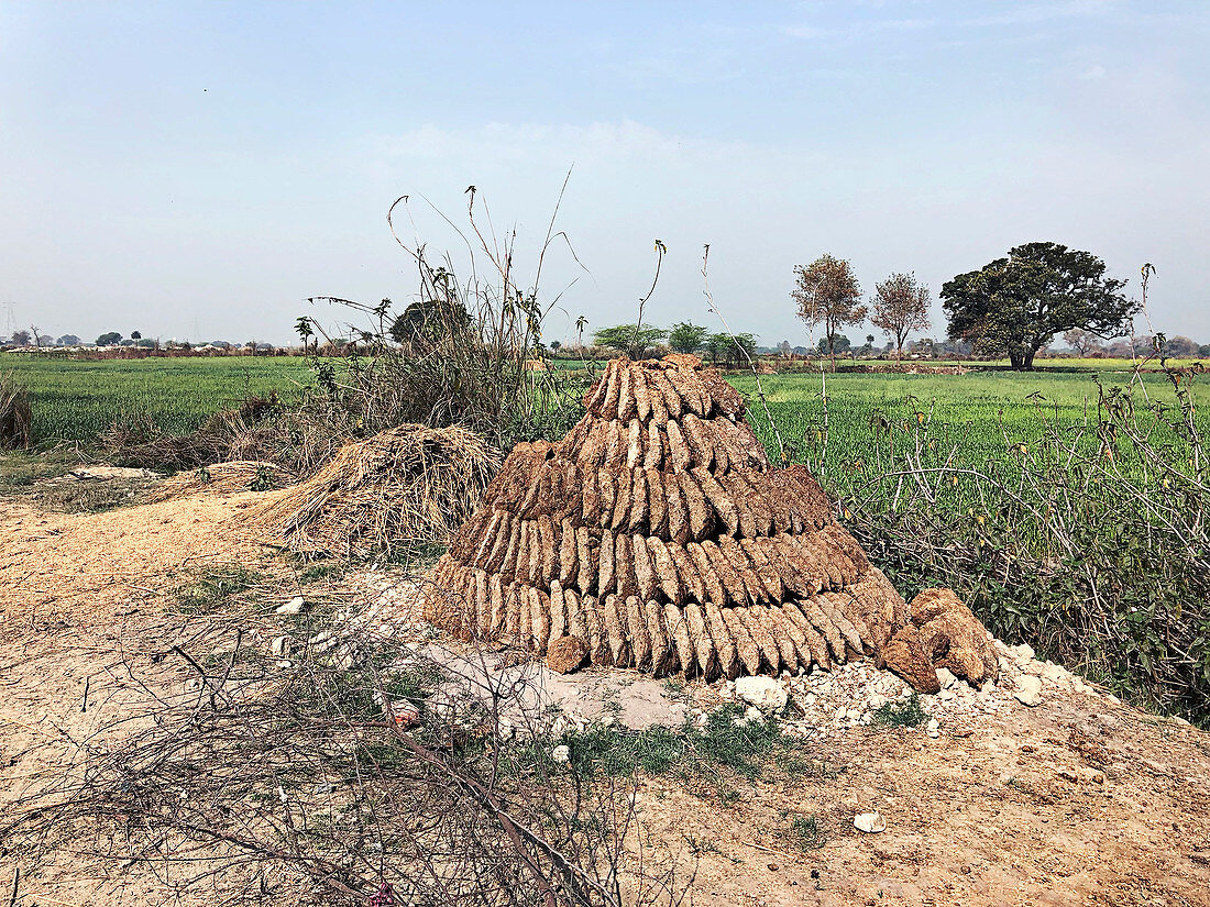 Dung drying for use as fuel