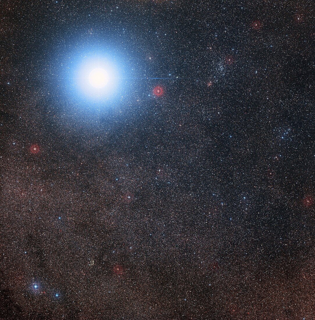 Alpha and Proxima Centauri