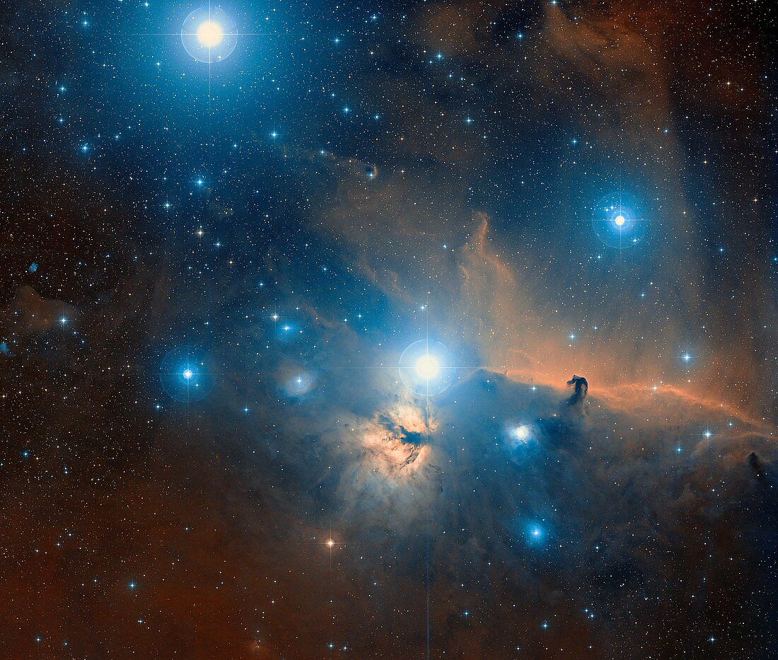 The Horse Head and Flame Nebulae in Orion