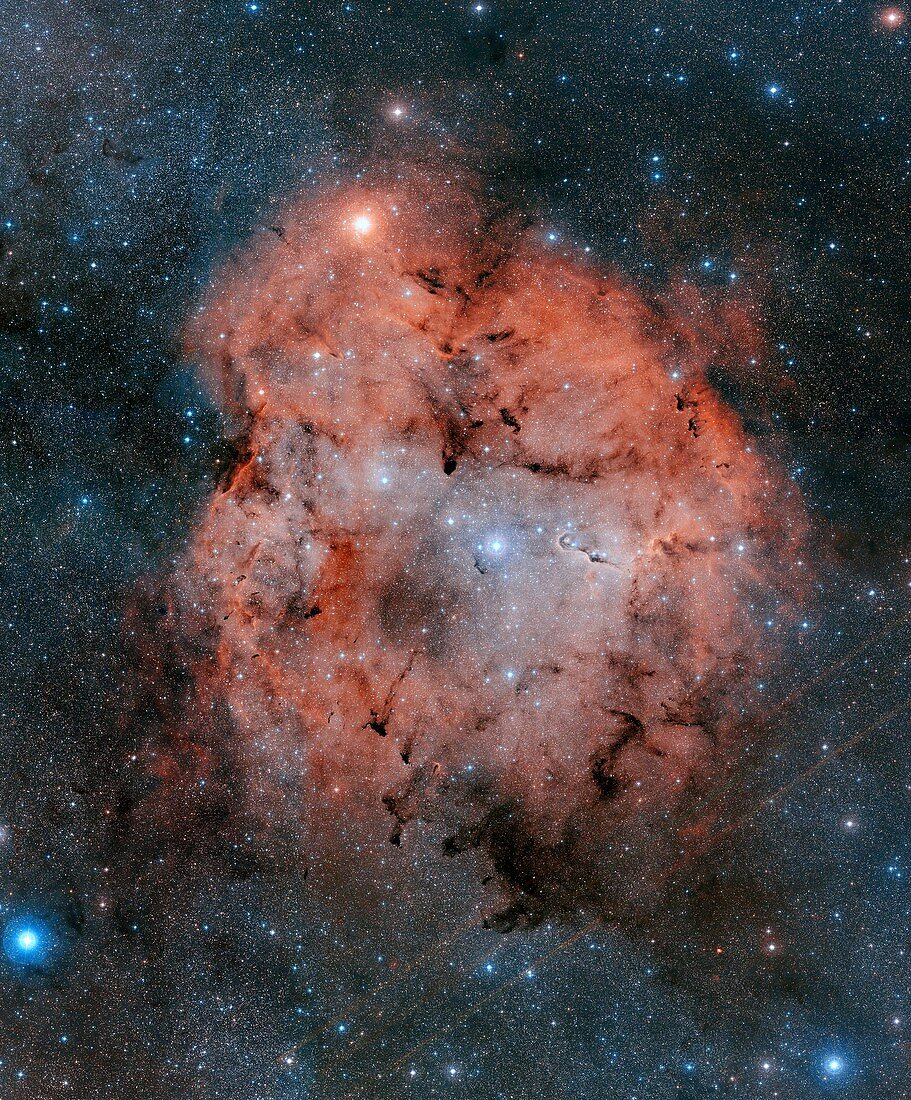 IC 1396 and the Elephant Trunk Nebula