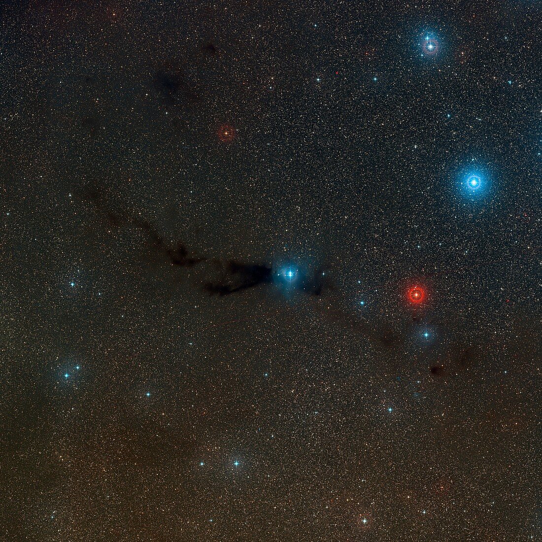 Dark Nebula Lupus 3 in Scorpius