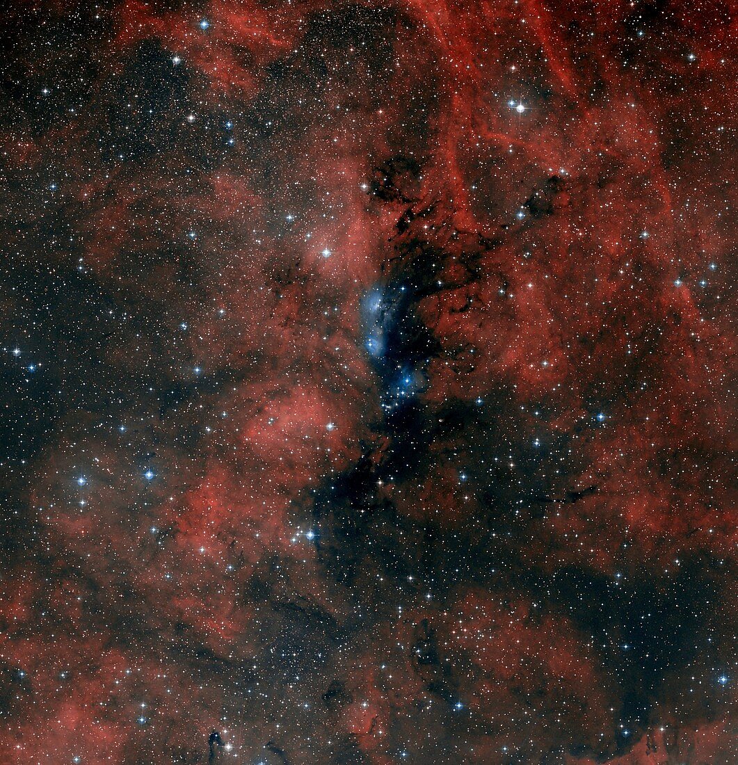 NGC 6914 nebulae