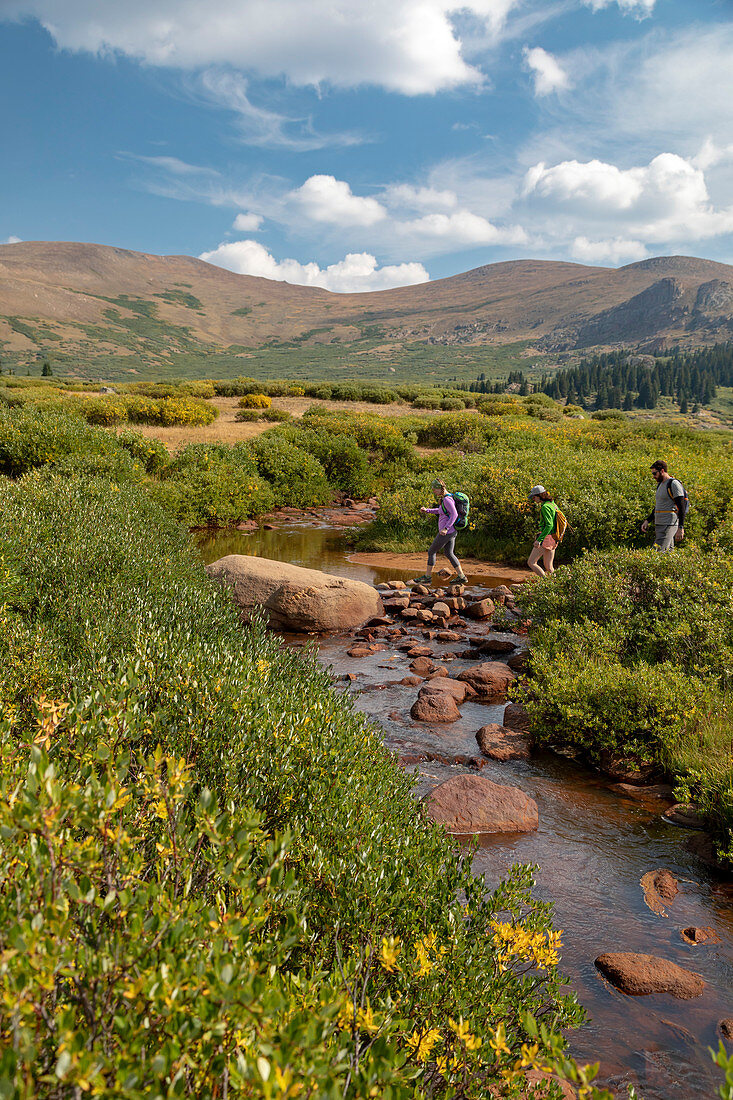 Hiking trail in the Colorado Rockies